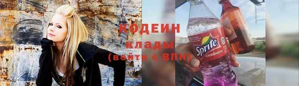 шишки Белоозёрский