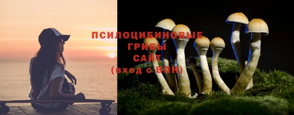 шишки Белоозёрский