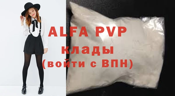 шишки Белоозёрский