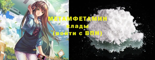шишки Белоозёрский