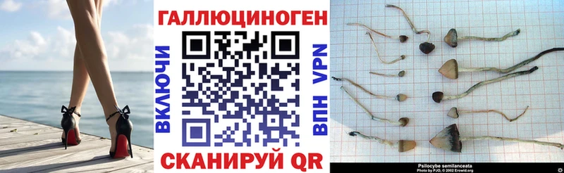Галлюциногенные грибы прущие грибы купить наркотики сайты MEGA tor Гатчина